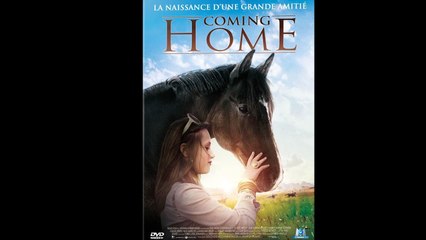 COMING HOME (2011) FRENCH 720p Regarder