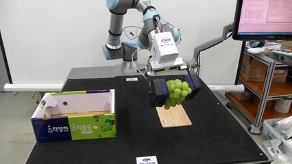 사람 손 같은 '만능 로봇 손' 나왔다 / YTN