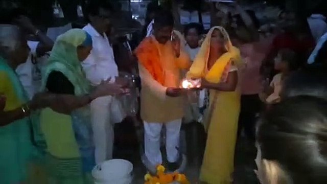 भरथना में हिंदू सनातन धर्म सेवा समिति भूखे गोवंश को खिलाया खाना
