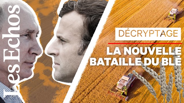 Comment la Russie torpille le modèle céréalier français
