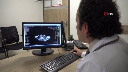 Korona virüse karşı grip ve zatürre aşısını önerisi