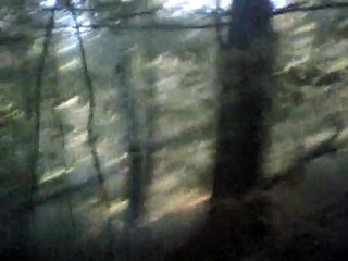 Continuo lied instrumental