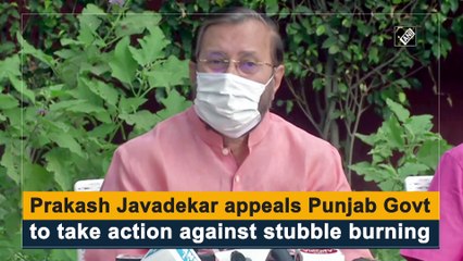 Prakash Javadekar appeals Punjab govt to take action against stubble burning