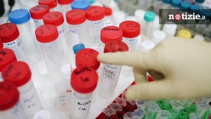 Coronavirus, Fondazione Gimbe "Nuovo dpcm inutile, serve lockdown mirato"