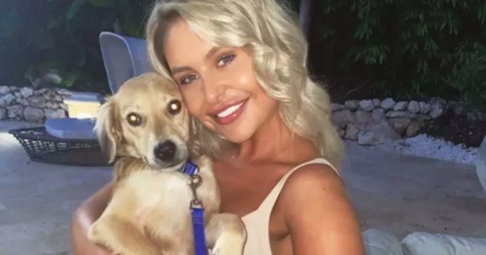 En vacances à la Barbade, ce couple britannique décide d'adopter un chien errant