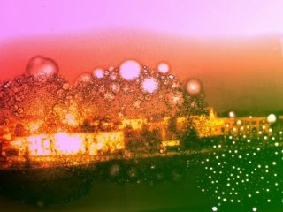 THE STRANGE JOURNEY of  SIR LAVEHC - Cheval Domi