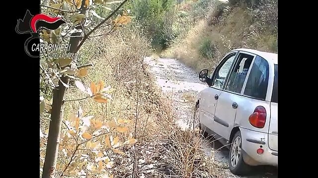 Arienzo (CE) - Incendio boschivo arrestato allevatore di San Felice a Cancello (15.10.20)