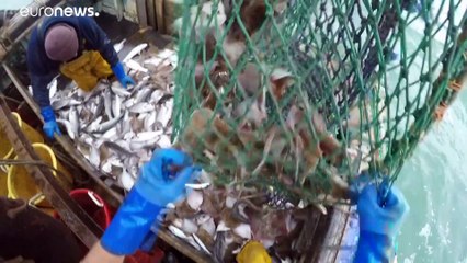 Evitar retrasos en el Fondo de Recuperación, prioridad para España en la cumbre europea