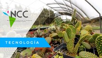Jar­dín bo­tá­ni­co de Perú al­ber­ga plan­tas de todo el mun­do