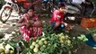 आ गया मांडू के मेवे सीताफल का सीजन.....देश, विदेश में जाता है फल (देखे वीडियो)