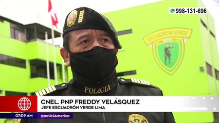 Delincuente mordió a una policía al intentar fugarse | Primera Edición (HOY)