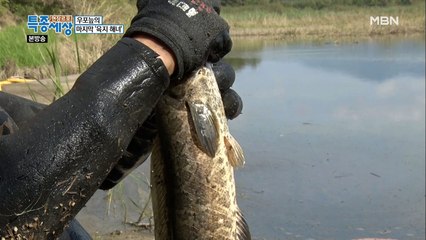 월척이야~! 월척! 이것만 있으면 쑥쑥 잡힌다?