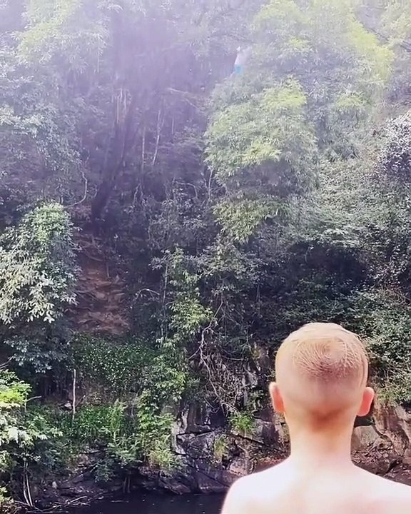 Guy Falls Into Water on His Back After Getting Stuck in Branches While Jumping
