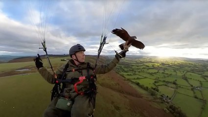 Falconer Soars Like A Bird... With A Bird!