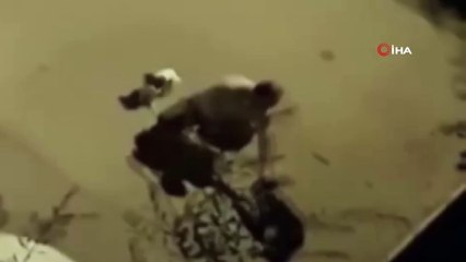 Elindeki boruyla köpeği acımasızca dövdü