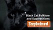 The Stories About Black Cats
