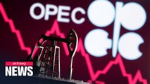 OPEC chief assures markets that oil prices will not crash again over COVID-19 pandemic
