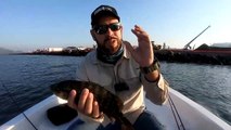 Diferentes maneras de PESCAR con CAMARÓN VIVO - Pesca de PARGOS