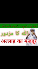 बहुत ही दिलचस्प और इबरतनाक वाक्य अगर वीडियो नहीं देखा तो कुछ नहीं देखाअल्लाह का मजदूर