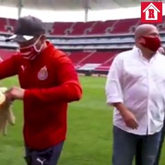 Así fue el golazo  del Gobernador de Jalisco en el Estadio Akron