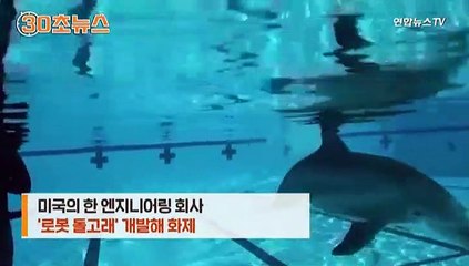 [30초뉴스] 헤엄치고 묘기 부리고 진짜인줄! '로봇 돌고래' 화제