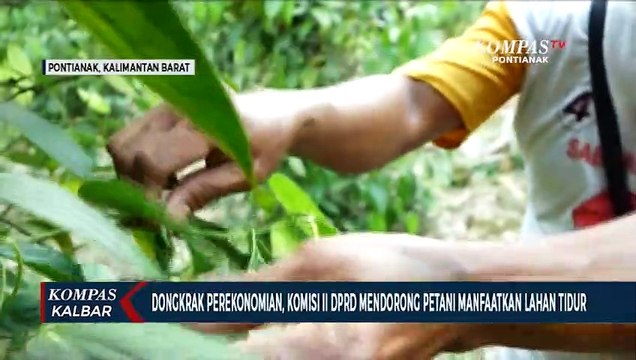 Komisi II DPRD Kalbar Mendorong Petani Manfaatkan Lahan Tidur untuk Dongkrak Ekonomi