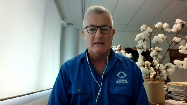 China set to target Australian cotton growers with tariffs