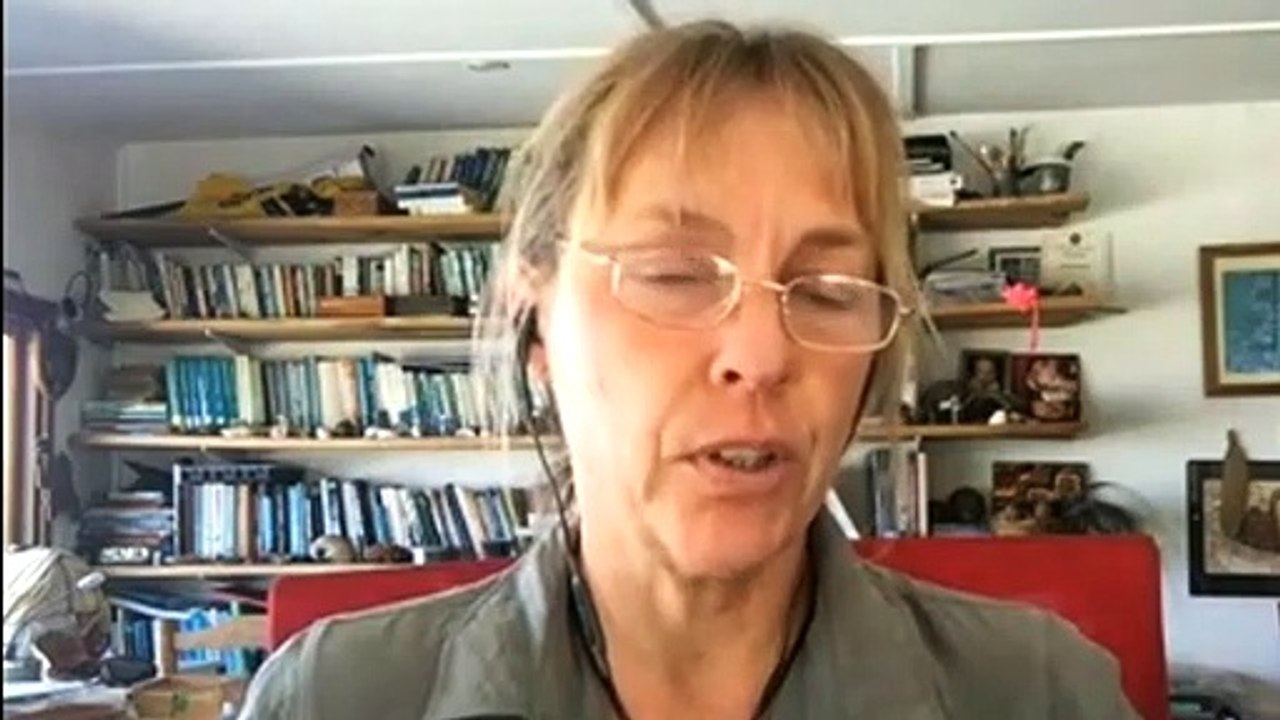 Study shows cats can carry diseases to humans