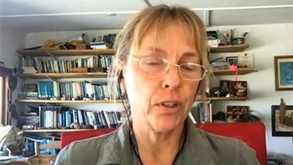 Study shows cats can carry diseases to humans