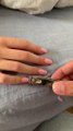 Guy Pranks Sleeping Girlfriend by Clipping her Nails