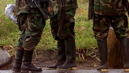 Víctimas de las Farc acuden a la Corte Penal Internacional para pedir justicia