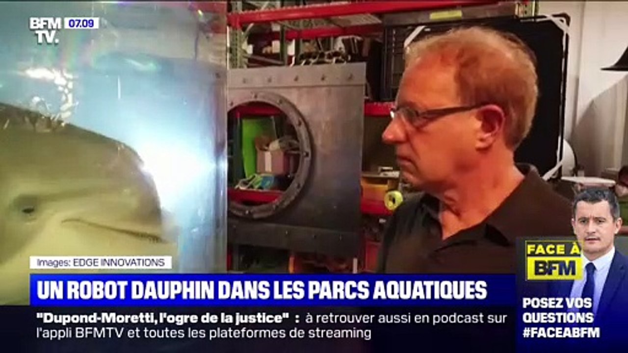 Un robot dauphin dans les parcs aquatiques - 16/10