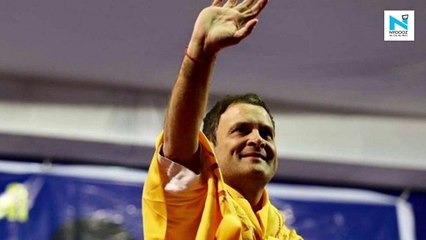 Pak, Syria, Afghanistan: Leaders divided them, people paid with blood, tears, says Rahul Gandhi