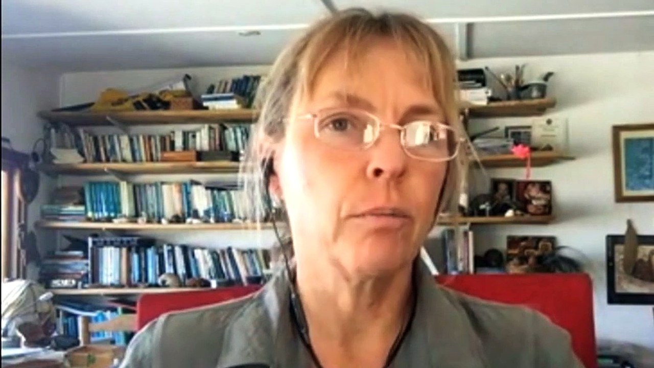 Study shows cats carry diseases to humans