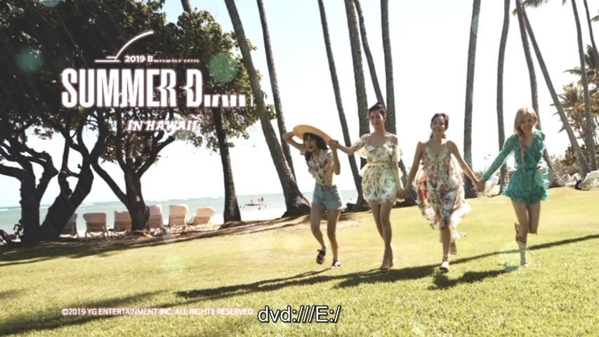 BLACKPINK SUMMER DIARY IN HAWAII 2019 của BLINK - Dailymotion