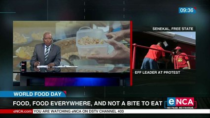 NGO stretching it's wings to feed more people