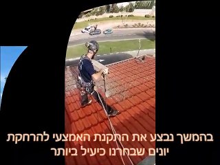 ניקוי צואת יונים