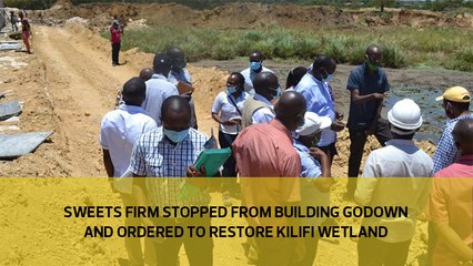 Sweets firm stopped from building godown and ordered to restore Kilifi wetland
