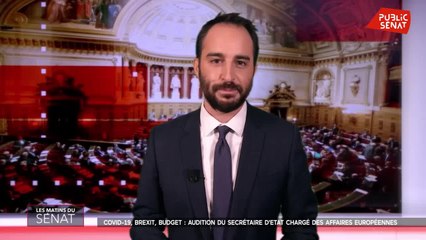 Covid-19, Brexit, budget : audition du Secrétaire d'Etat chargé des Affaires eur - Les matins du Sénat (16/10/2020)
