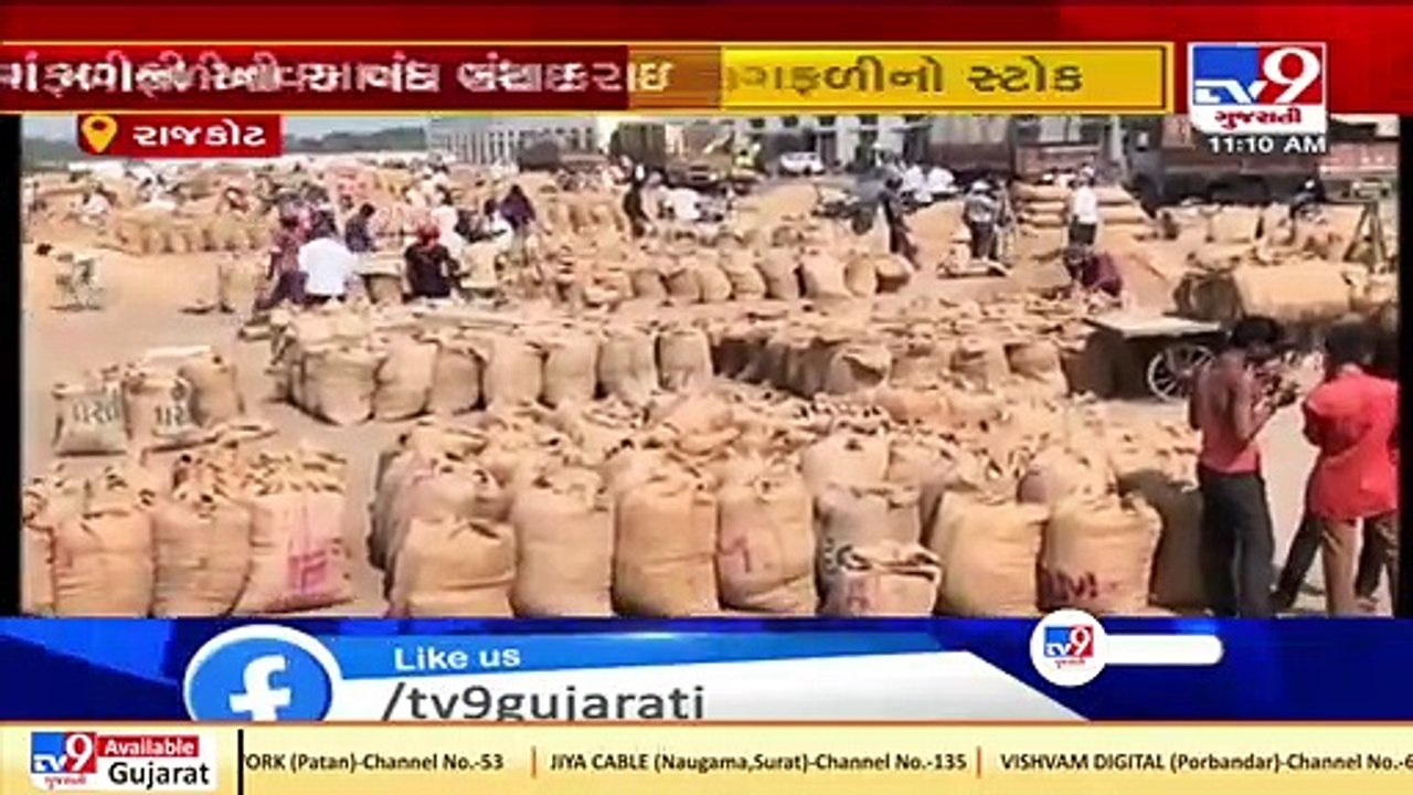 Rajkot- Inflow of groundnuts halted at Bedi market yard stopped over prediction of rainfall -TV9News