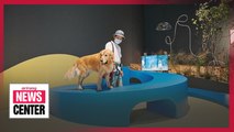 Exhibitions and performances to enjoy during the weekend; MMCA presents a museum for dogs