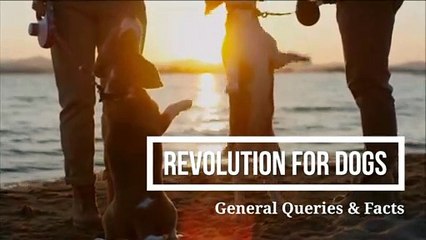 Revolution For Dogs - General Queries & Facts - CanadaPetsSupplies