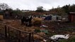 RSPCA and World Horse Welfare at Hetton  allotments