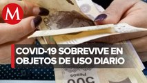 Estudio revela que coronavirus puede durar hasta 28 días en billetes