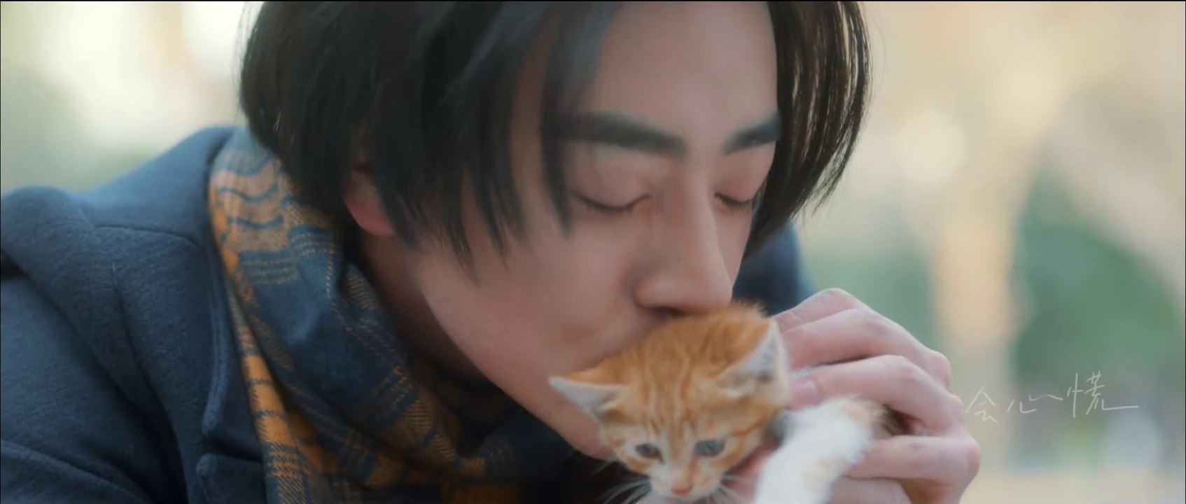 [MV] 2020.10.16 你好喵室友 (Hello Catmate) - 拾梦旅人