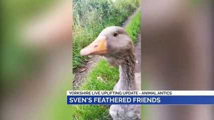 Animal Lovers Uplifting Update