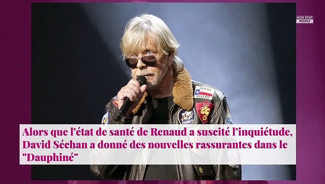 Renaud : son frère David Séchan rassure sur son état de santé