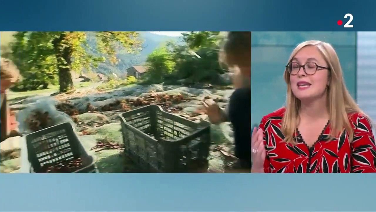 Gastronomie : les Français font toujours honneur aux confiseries