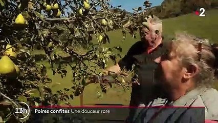 Gastronomie : la poire Sarteau, douceur provençale