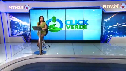 Llamativa campaña mundial en favor de los ríos y sus ecosistemas